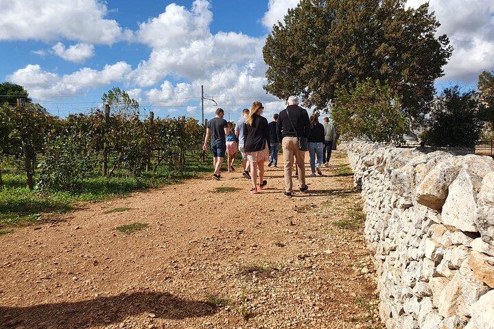 Trulli and Wine: Alberobello and Locorotondo Small-Group Tour
