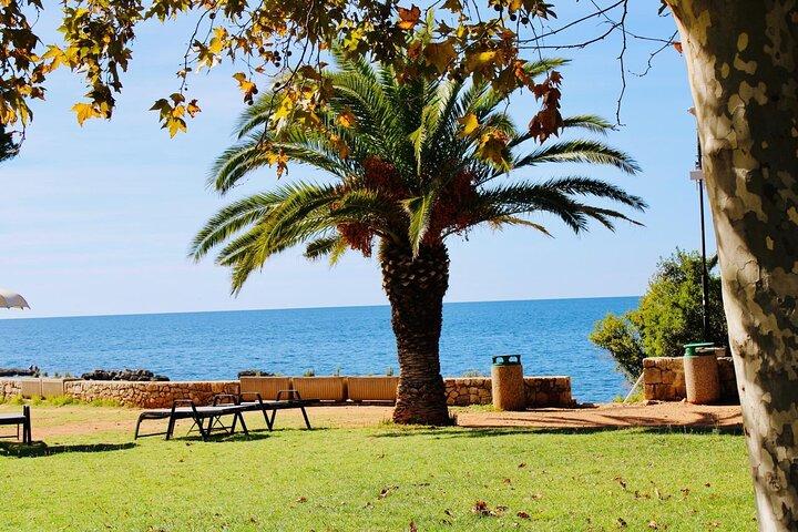 From Dubrovnik to Lokrum Island, St. Jacobs Beach and Betina Cave