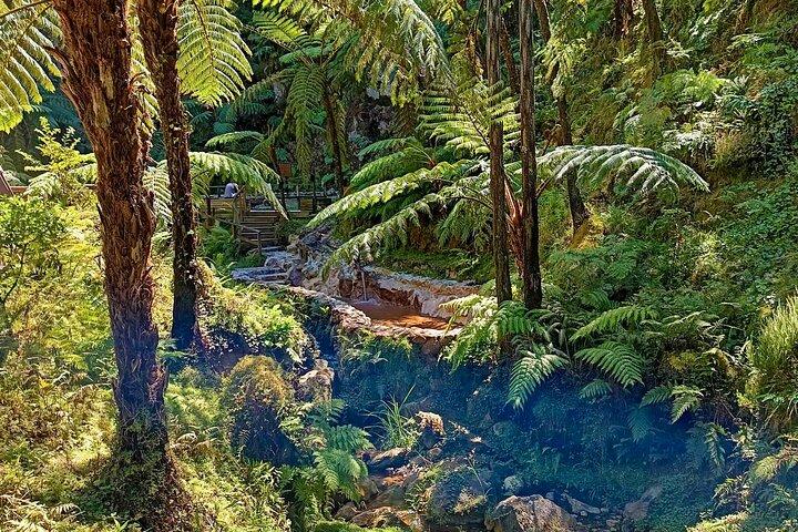 Full day tour Waterfalls route, Northeast & North Coast