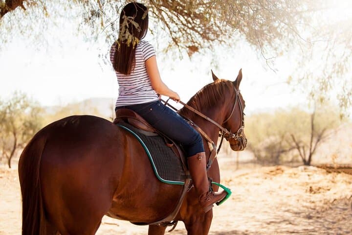 Agadir Camel or Horse Ride – Scenic Desert Adventure