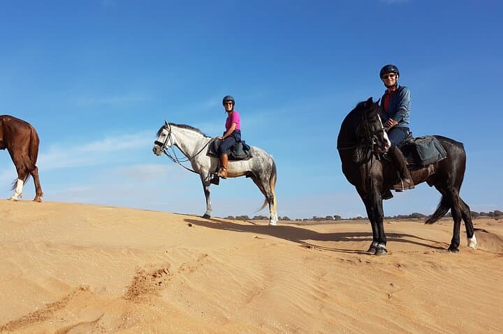 Agadir Camel or Horse Ride – Scenic Desert Adventure