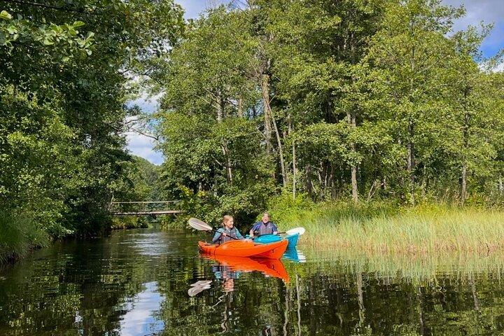 Kristiansand River Kayak Tour - Local Nature and Adventure