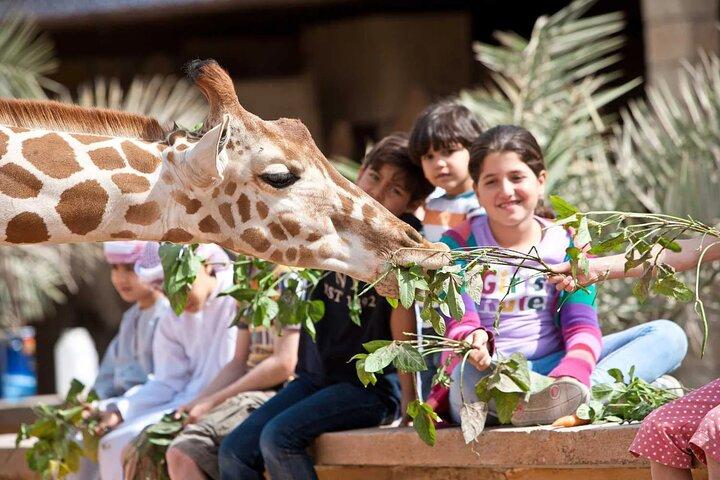 Emirates Park Zoo Abu Dhabi: Wildlife Adventure Ticket