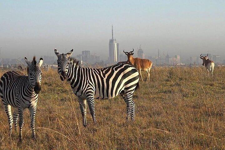 Early Morning Group Tour to Nairobi National Park