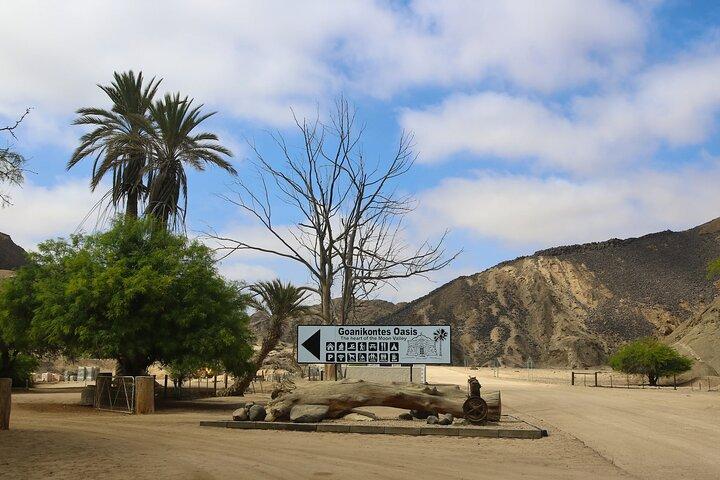 Shore Excursion from the Port of Walvis Bay and many highlights.