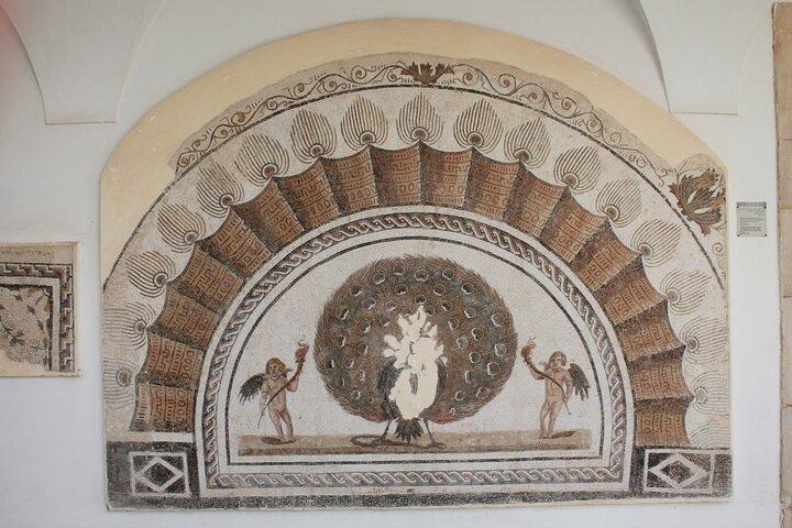 El Jem Roman Coliseum and Museum Half Day Tour
