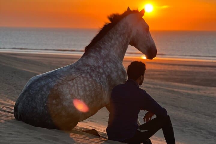 Sunset Horse Ride Experience in Essaouira