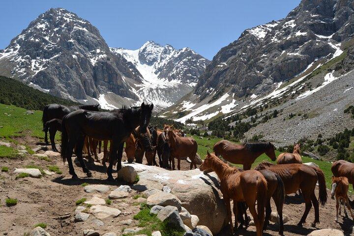 One day Trek in Osh to Sacred Sites and Panoramic Views