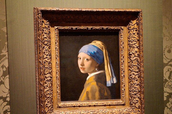 Private Guided City Tour of The Hague & Mauritshuis Museum Entry