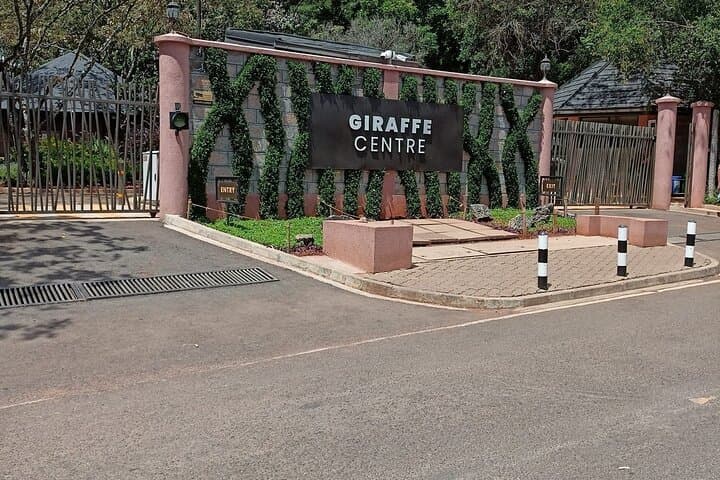 Private Tour To Giraffe Centre in Nairobi