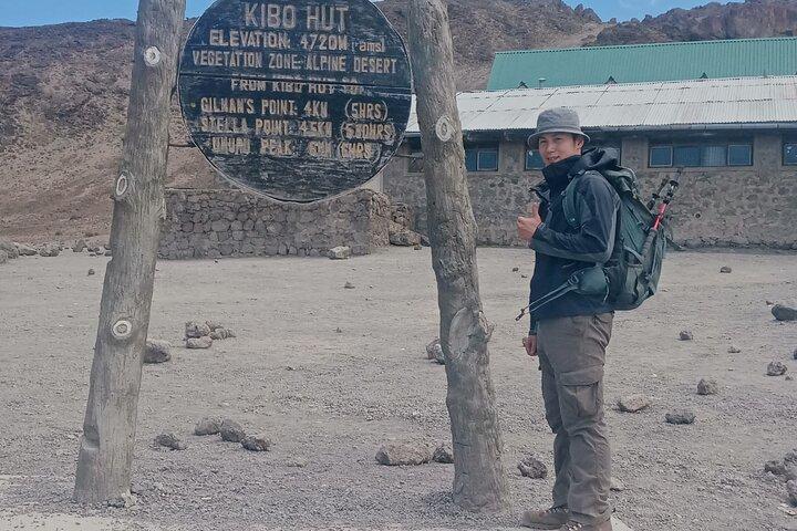 7 Day Kilimanjaro Trek Lemosho Machame Marangu or Rongai Umbwe