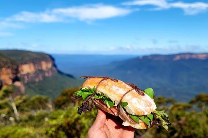 Blue Mountains Small Group Tour with Waterfall Walk & Fresh Lunch