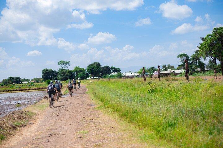 1-Day Moshi Villages bike tour