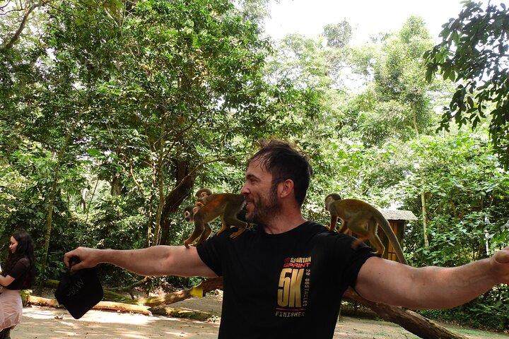 Amazon River and Monkey Island Day Tour