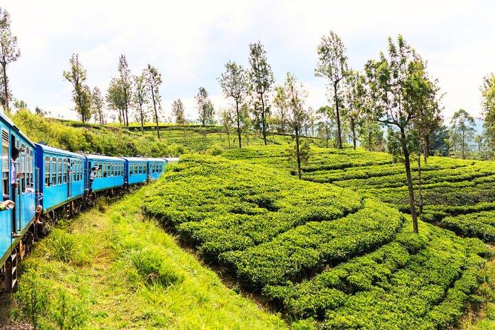 Sri Lanka Full Circle 4-Day Private Tour