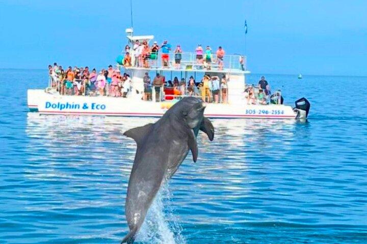 Key West Dolphin and Snorkel Experience