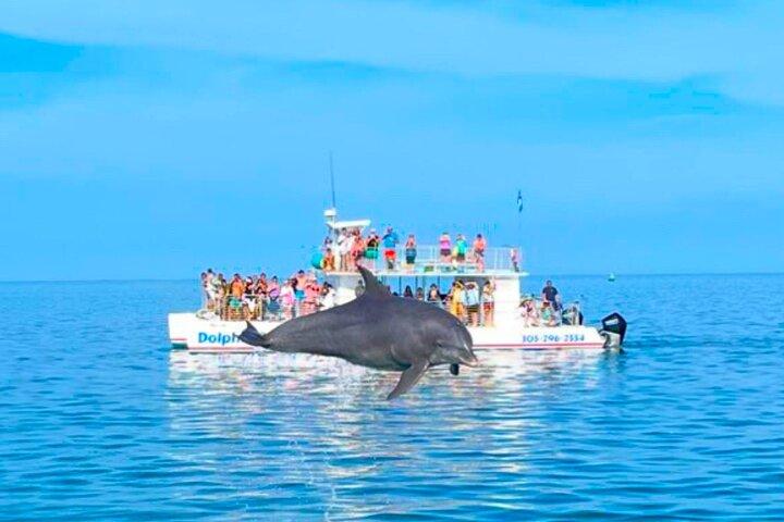 Key West Dolphin and Snorkel Experience