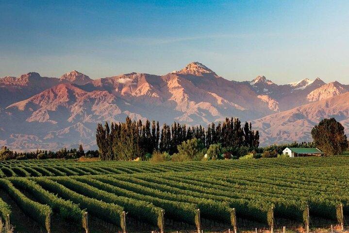 Flavors and Views of Uco Valley and Cordón Del Plata