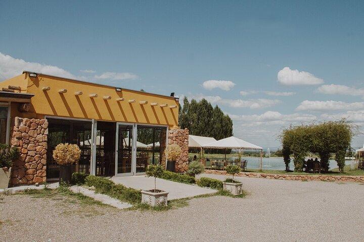 Flavors and Views of Uco Valley and Cordón Del Plata