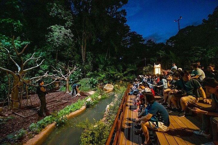Singapore Night Safari Admission Ticket with Tram Ride E-Ticket