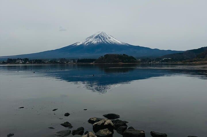 From Tokyo: Mt Fuji private 1 day customizable tour in English