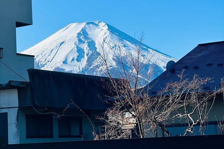 From Tokyo: Mt Fuji private 1 day customizable tour in English
