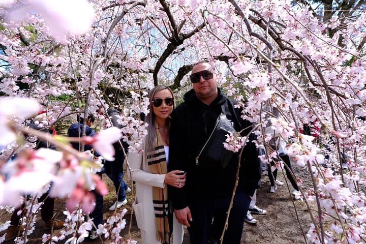 KYOTO Explore Top Highlights & Hidden Gems -Private Walking Tour