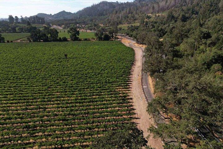Scenic Napa Valley E-Bike Tour (no wineries)
