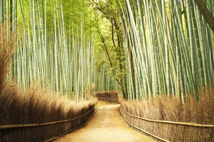 A trip to Kyoto and Osaka in one day
