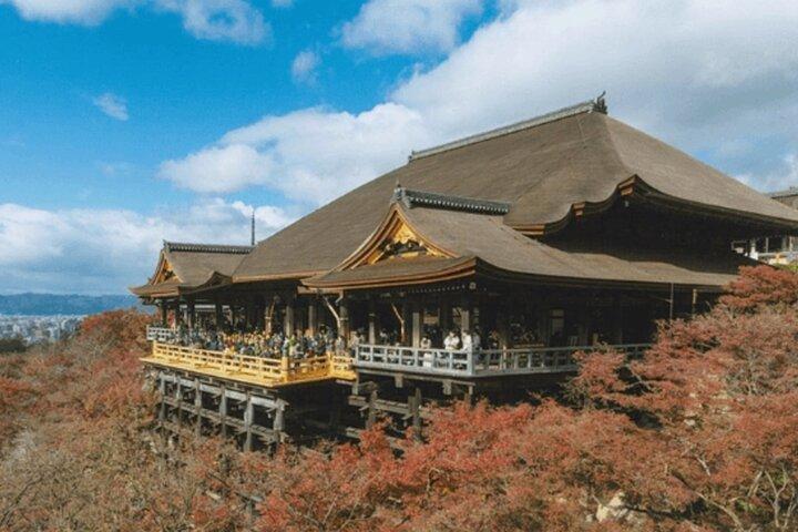 A trip to Kyoto and Osaka in one day