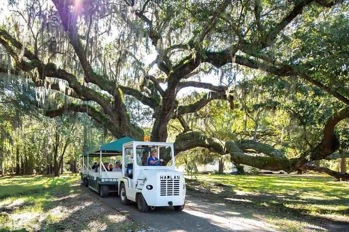Magnolia Plantation Day Tour with Transportation