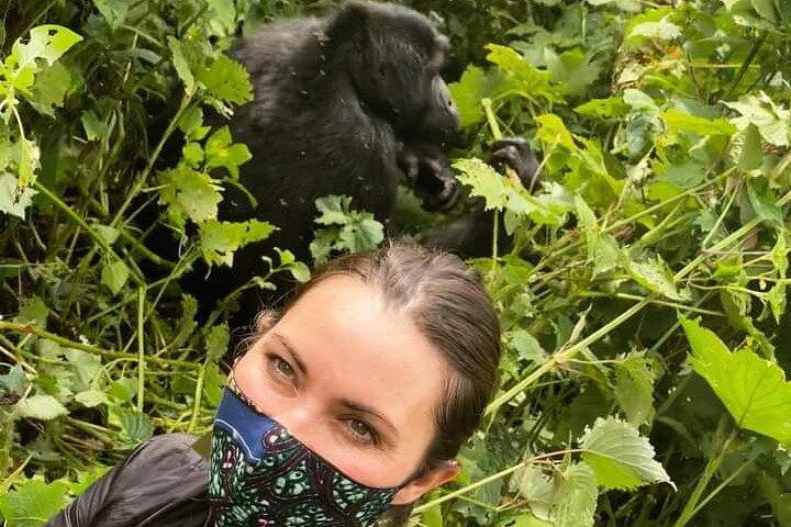 3 Days 2 Nights Gorilla Tracking Bwindi Impenertrable National Park