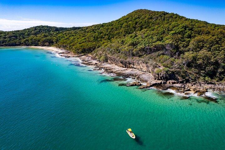 Noosa ocean adventure & Dolphin safari.