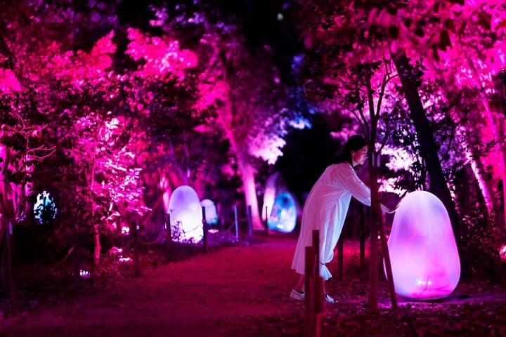 TeamLab Botanical Garden Osaka Ticket