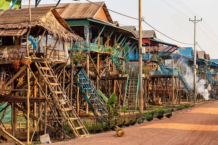 Sunset tour of Kampong Phluk stilts home village