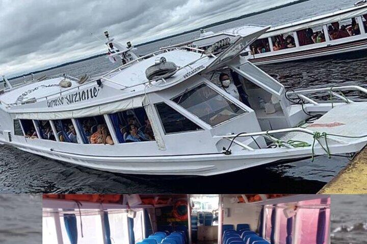 Amazon Safari Tour in Manaus (Shared:)