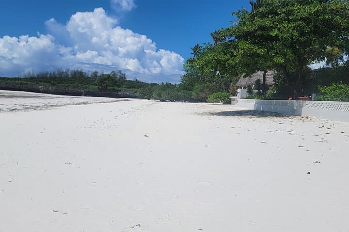Jozani Forest Kuza Cave Paje Beach and the Rock Restaurant