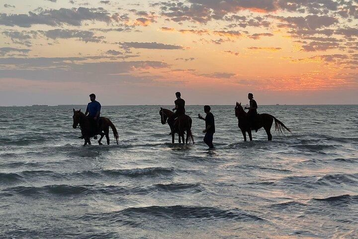 Horse Riding Experience in Riyadh | Tanomah | Jeddah | Al Ula
