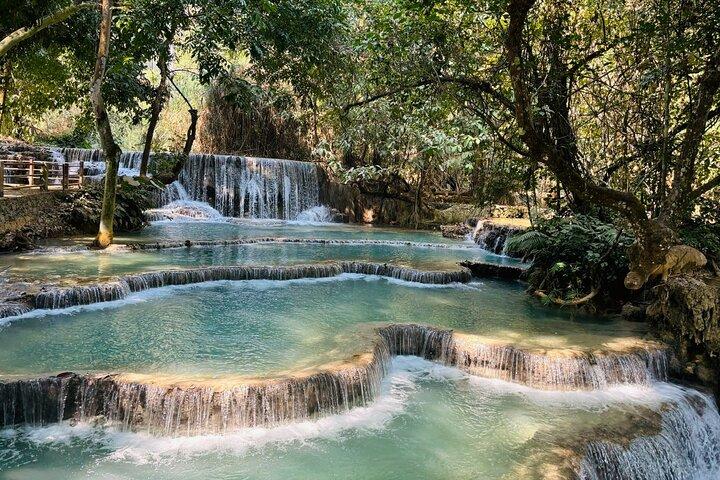 Rice is Life Experience & Kuang Si Waterfall - Luang Prabang full day tour