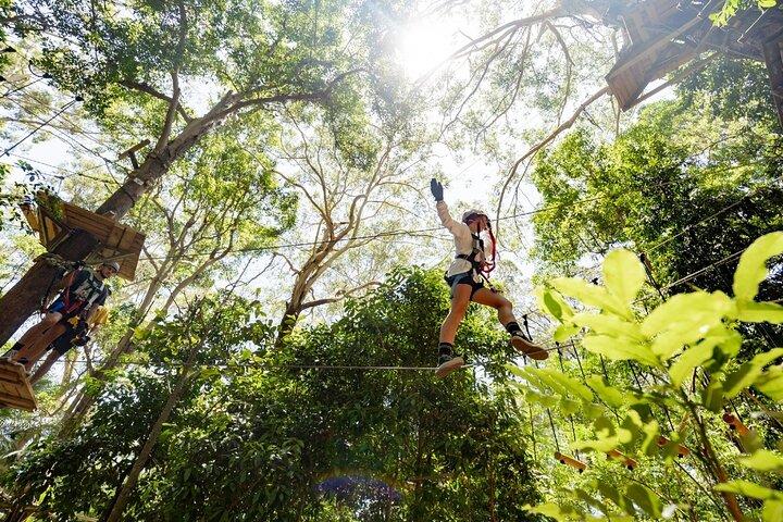 Currumbin High Ropes and Zipline Adventure