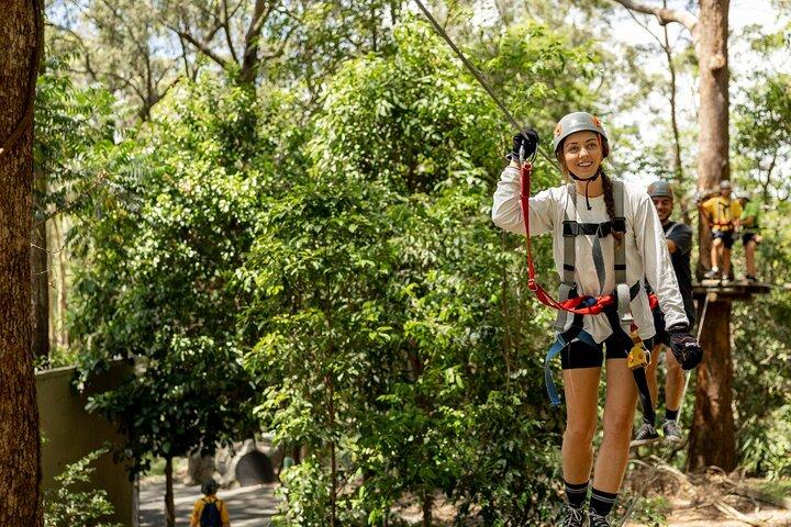 Currumbin High Ropes and Zipline Adventure