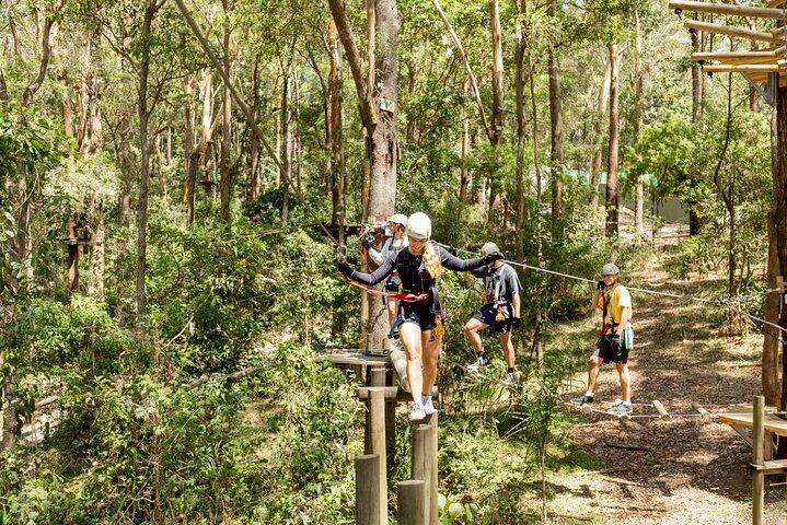 Currumbin High Ropes and Zipline Adventure