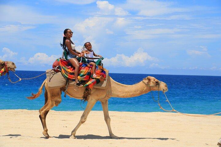 Beach ATV, Free Camel Ride, and Sky Bike Combo
