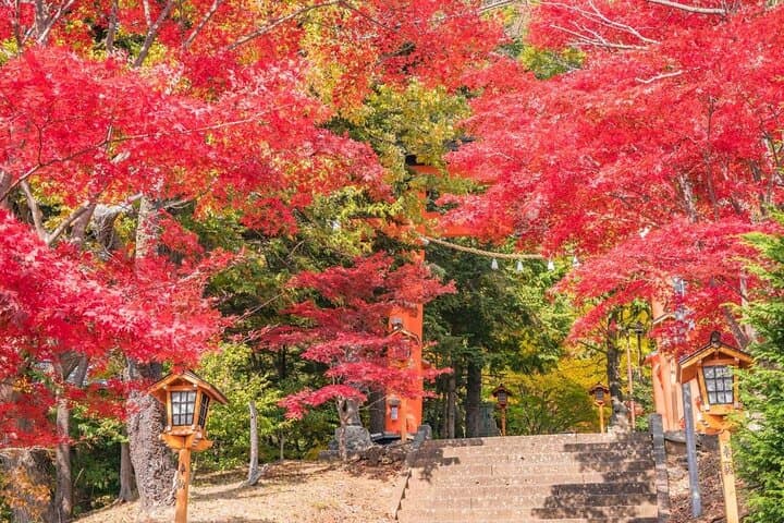 Mt Fuji Day Tour: Chureito Pagoda, Lake Kawaguchi & Oshino Hakkai