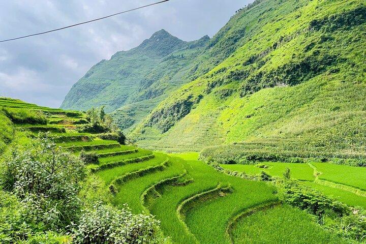 2 Days village Trek and Homestay in Dong Van 's Ethnic Highlands