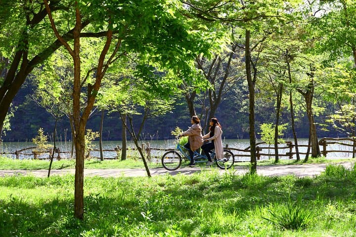 Day Trip to Nami Island with Rail bike and The Garden of Morning Calm