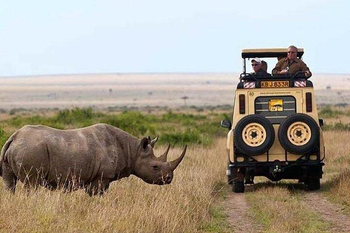 10 Day Best of Kenya and Tanzania Private Safari in a 4WD Jeep