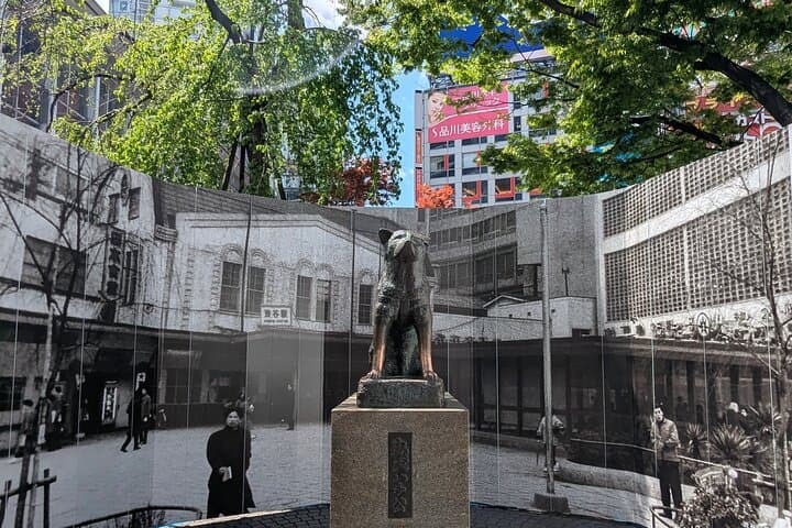 Shibuya Highlights Hachiko Scramble Meiji Jingu and Sky