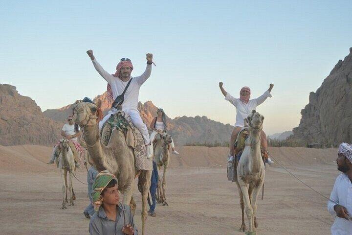 Star Gazing, Jeep Ride, Camel riding & Dinner / Hurghada