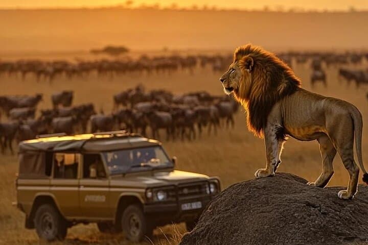 Maasai Mara Overnight Trip